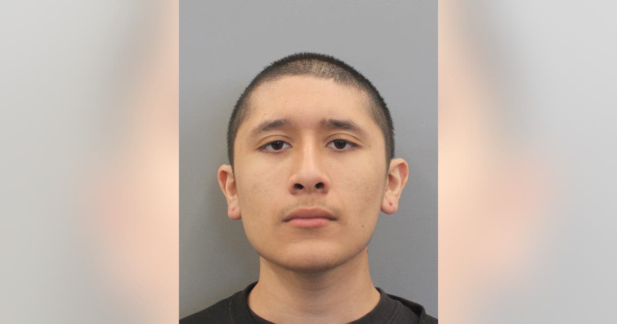 Teen charged with capital murder in deadly Houston shooting of woman ...