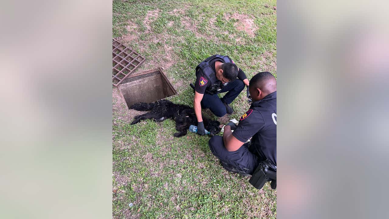 WAY TO GO DEPUTIES!! Harris County constables rescue dog stuck in storm drain