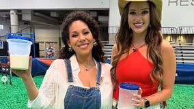 Caroline Collins, Carolina Sanchez compete in Houston Rodeo Celebrity Goat Milking Competition