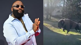 Rick Ross' wandering pet buffalos anger Georgia neighbors