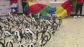 'All Kids Bike' at Mangum Elementary in Houston  teaching kids how to ride bike