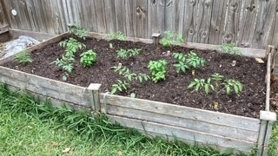 Houston ranked among top 10 best cities for naked gardening: study