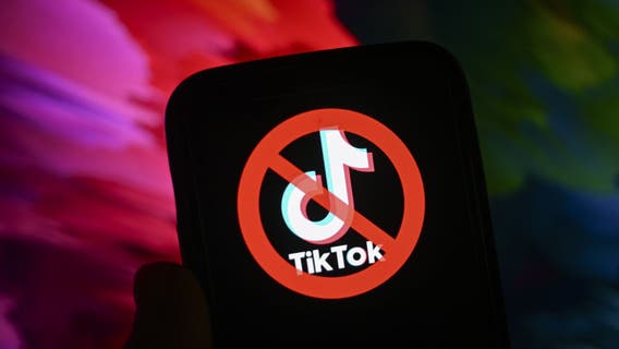TikTok faces potential ban prompting creator and expert concerns