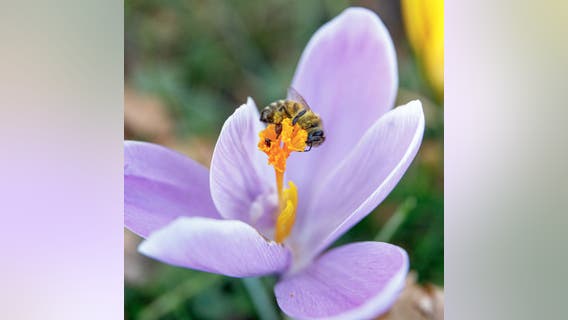 UN's assessment on Climate Change, looking back on the first day of Spring 2023