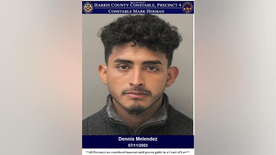 Man shoots, kills neighbor's dogs after firing several shots in the ground