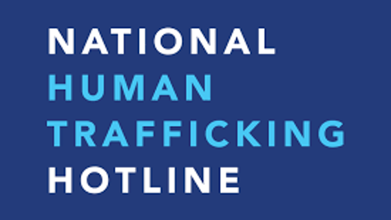 Ways to contact the National Human Trafficking Hotline-