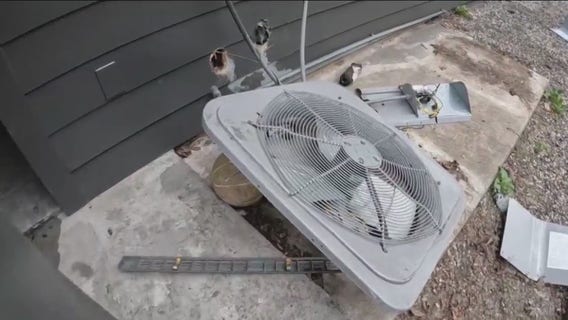 Covenant House apartments meant to help homeless teens has nearly $100,000 worth of items stolen