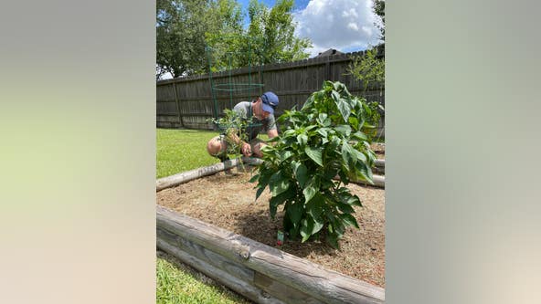 IS IT GARDENING TIME? FOX 26 Meteorologist John Dawson explains when is the best time to plant your gardens