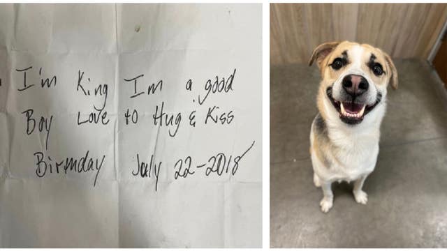 Dog named King abandoned at Burger King with note reading 'I'm a good boy'