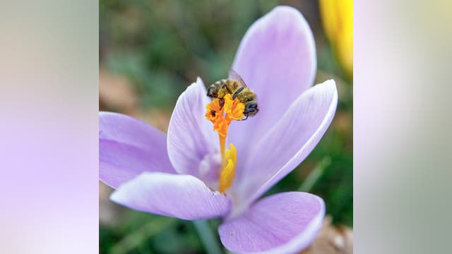 UN's assessment on Climate Change, looking back on the first day of Spring 2023