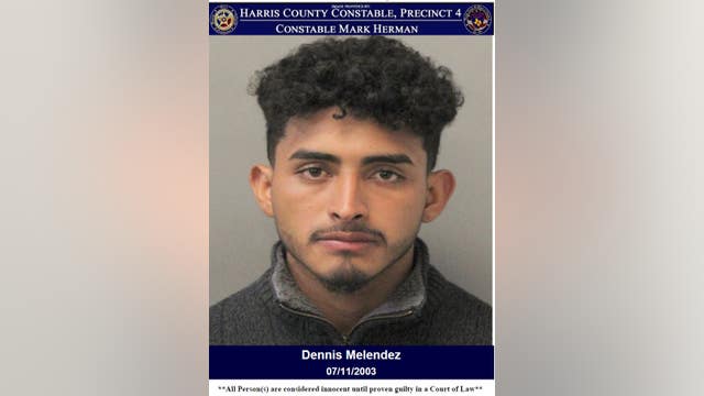 Man shoots, kills neighbor's dogs after firing several shots in the ground