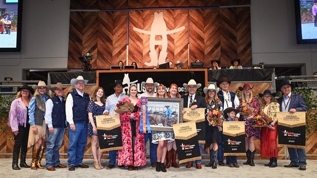 Houston Rodeo: Lamar CISD students painting breaks record, sells for nearly $300K