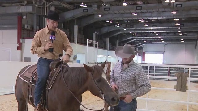 Texas ranked 2nd best state for horse lovers, according to study