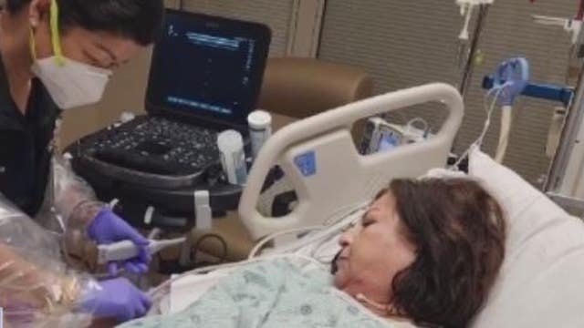 PreK teacher from Spring says she's lucky to be alive after being attacked by her neighbors Dogo Argentino