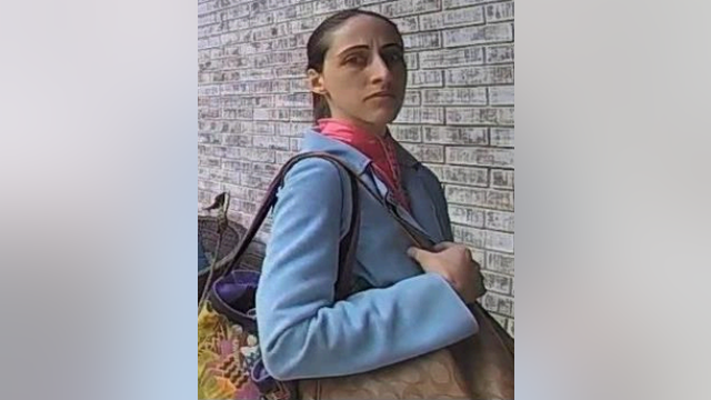 Harris County deputies searching for missing woman who may be in mental health crisis