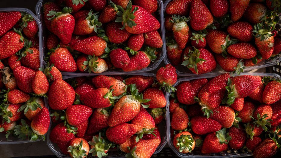 Houston strawberry picking Where to get fresh berries fruit