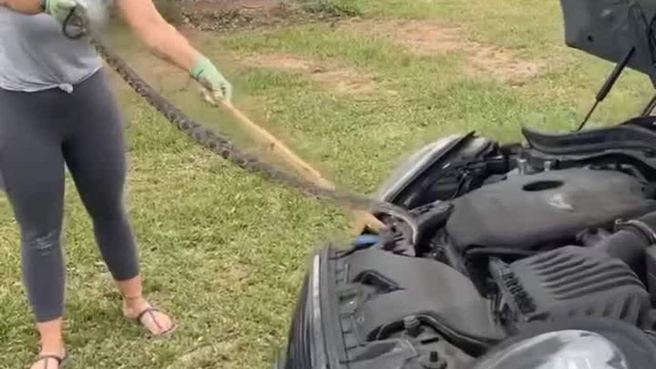 Texas mom fearlessly removes snake from daughter s car engine video