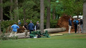 Masters Tournament: Multiple trees fall, second round suspended