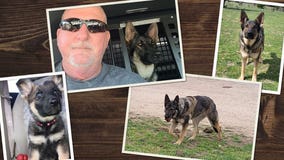 Pup who suffered burn injuries now K-9 for State Fire Marshal's Office