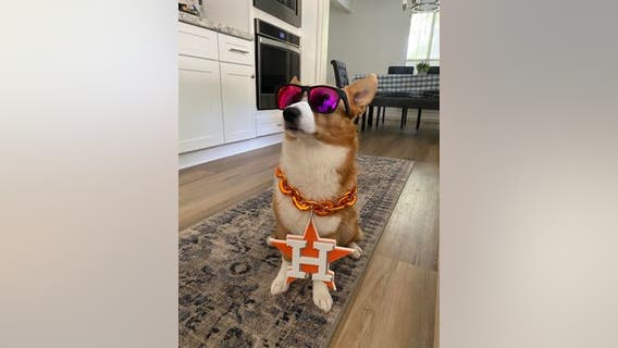 Gallery: FOX 26 viewers celebrate National Pet Day