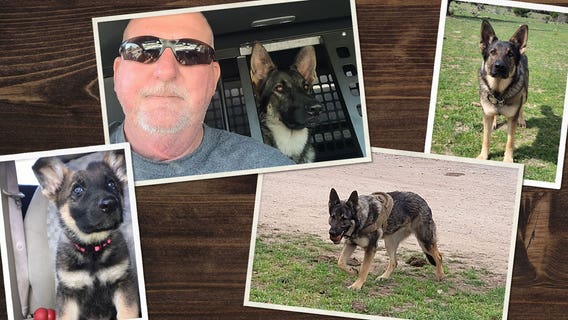 Pup who suffered burn injuries now K-9 for State Fire Marshal's Office