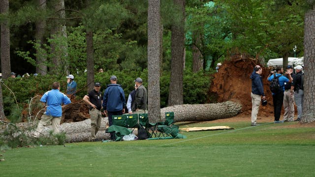 Masters Tournament: Multiple trees fall, second round suspended