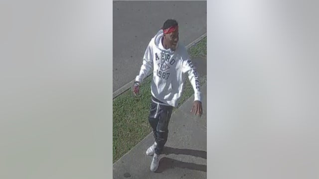 Houston Midtown shooting: Person of interest sought following bizarre deadly shooting