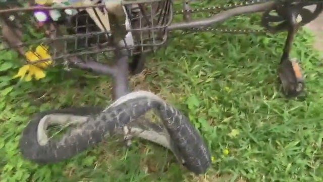 Seabrook hit-and-run crash injures bicyclist, community lends helping hand to victim