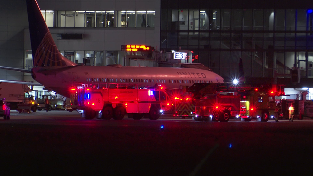 2 United flights return to Bush Intercontinental Airport due to possible bird strikes