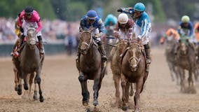 Emergency summit called after multiple horse deaths at Churchill Downs