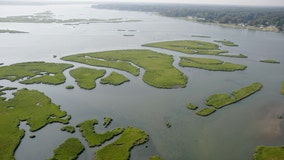 Supreme Court sharply limits EPA's ability to police pollution into certain wetlands