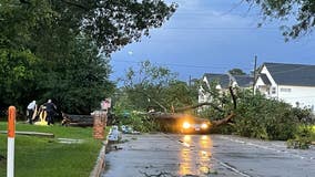 Tree falls on vehicle in Harris County during storm, 1 person killed