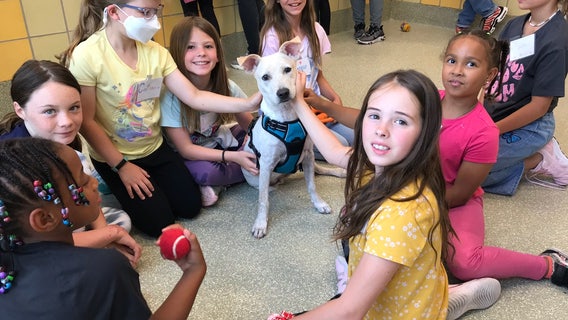 Houston SPCA announces Mary S. Montague Scholarship Program for Critter Camp