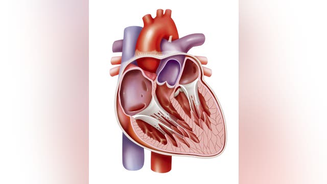 How mental health is often misdiagnosed as a cardiovascular issue