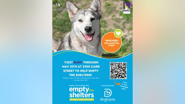 BARC Houston animal shelter waiving dog, cat adoption fees during ‘Empty the Shelters’