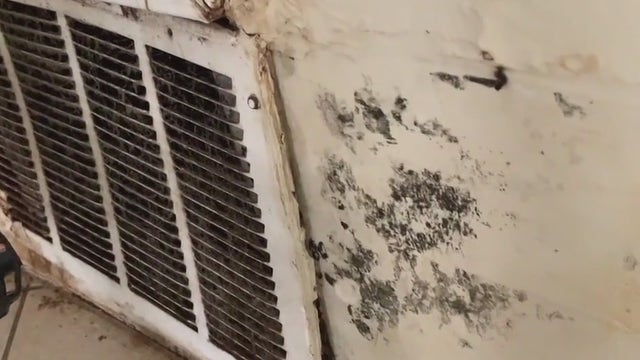 Mayor's Strike Force Team helps Houston residents living in inhumane conditions