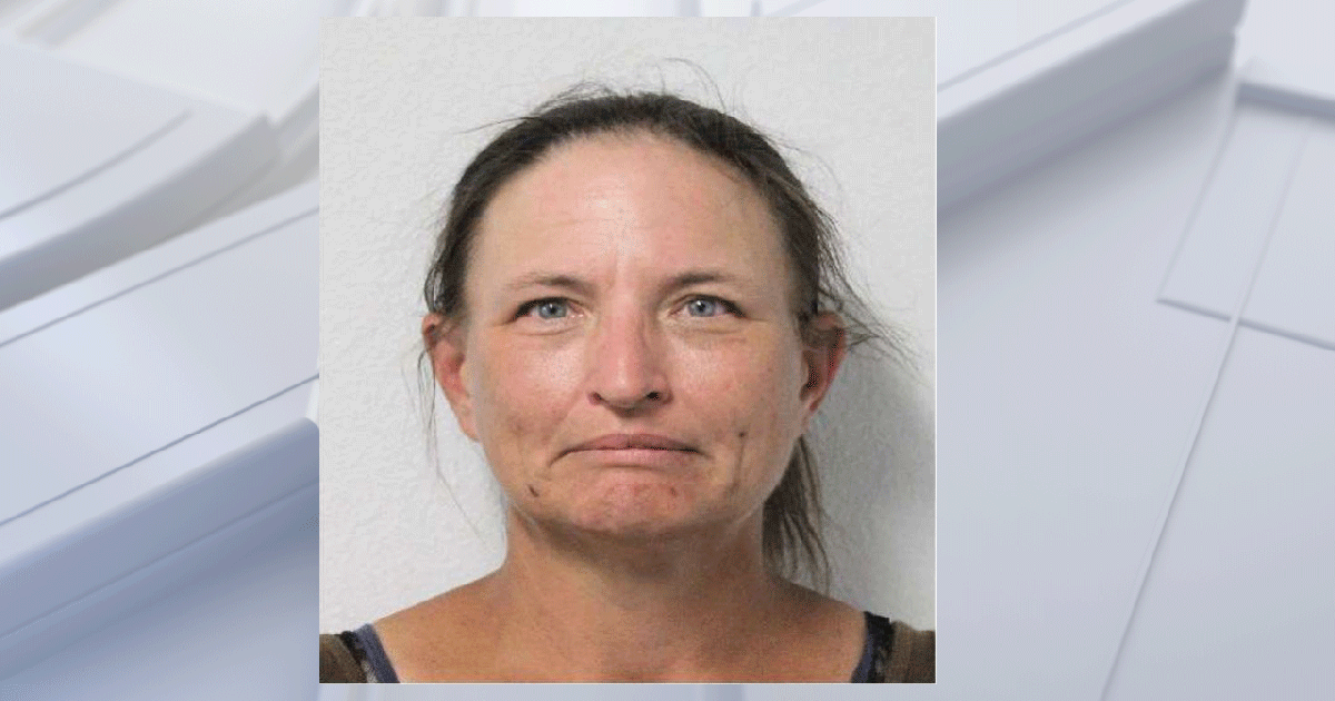 Harris Co. Constables arrest woman with 81 open misdemeanor warrants ...