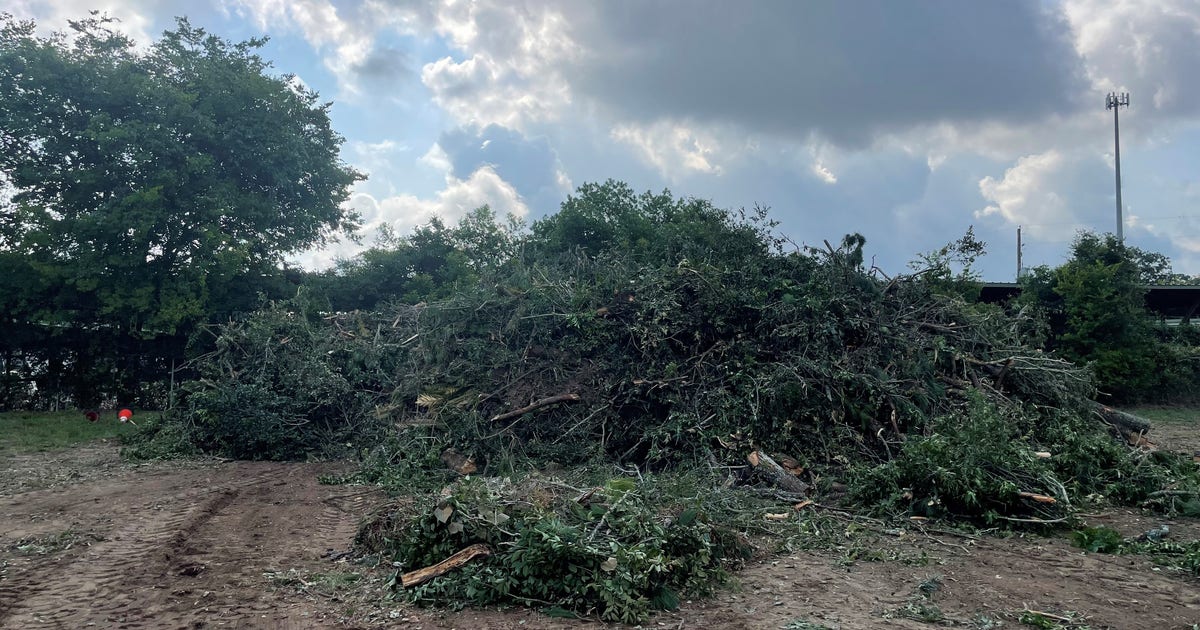 Montgomery County recycling center waives fees for storm debris dropoff ...