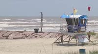 Galveston beachgoers warned about 'sea lice': What are they?