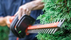 85,000 hedge trimmers recalled over laceration risk