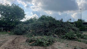 Montgomery County recycling center waives fees for storm debris dropoff