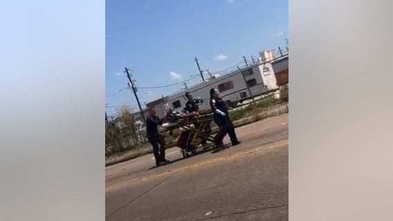 Galveston Police K-9 seriously injured during operation with US Marshals Office