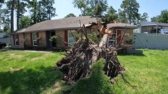 Houston storms cause tree to crash into family's home, narrowly missing mom, kids
