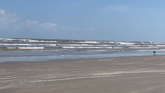 Oregon man drowns off of Galveston beach, first drowning of 2025