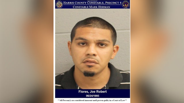 Harris County crime: 3K grams of meth found during traffic stop thanks to K-9