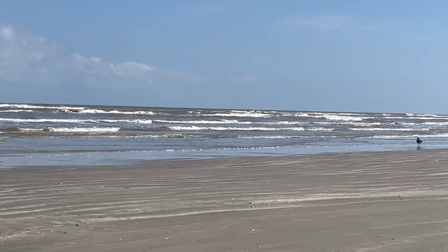 Oregon man drowns off of Galveston beach, first drowning of 2025