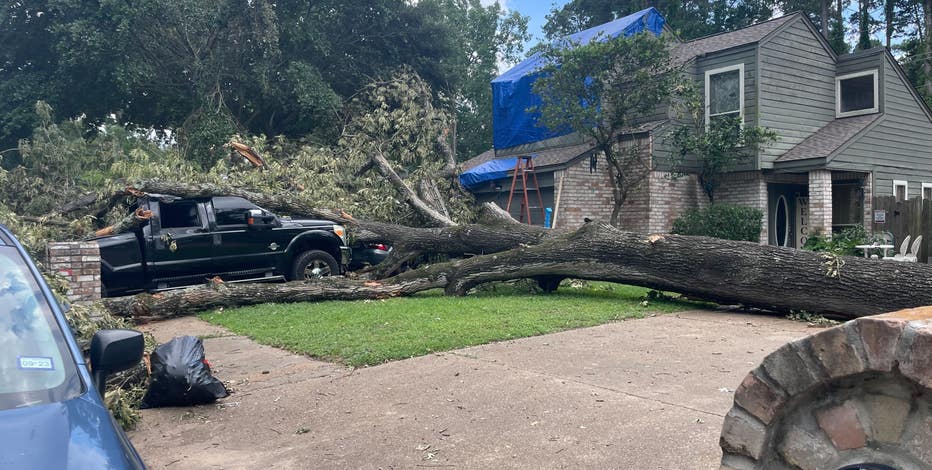 Storms topple tree in Sunrise, flood Sawgrass Mills Mall parking lot, lead  to traffic backups - WSVN 7News, Miami News, Weather, Sports