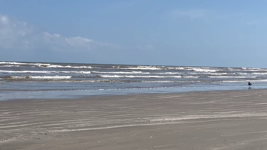 Galveston Beach