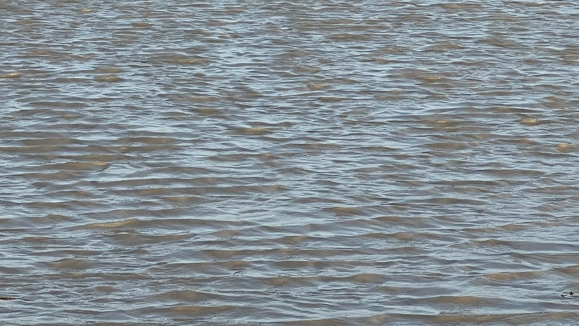 Diesel spill contained at Deer Park facility dock along Houston Ship Channel