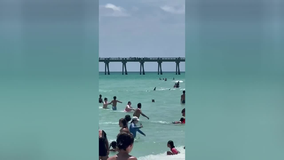 Shark seen swimming dangerously close to beach goers at Florida beach